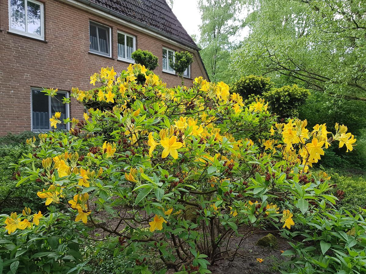 Pension 'Das Kleine Landhaus' Oberhaverbeck Exterior foto